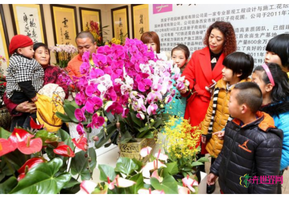 花卉市场进入销售旺季 市民选购鲜花喜迎佳节