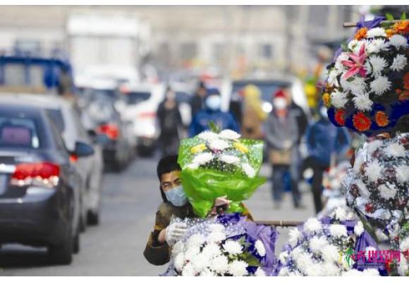 鲜花销售迎旺季 花商提前预热清明