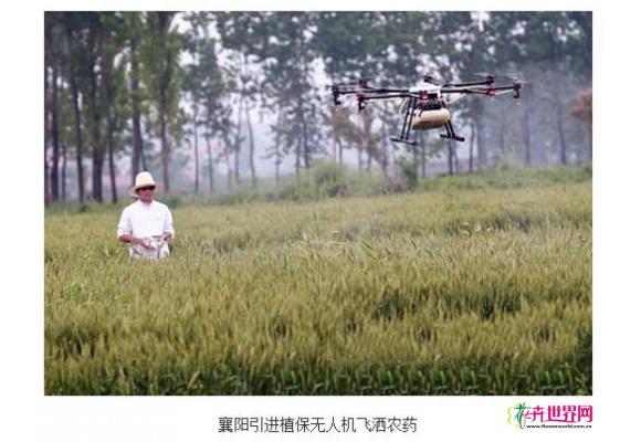 湖北：襄阳引进植保无人机飞洒农药