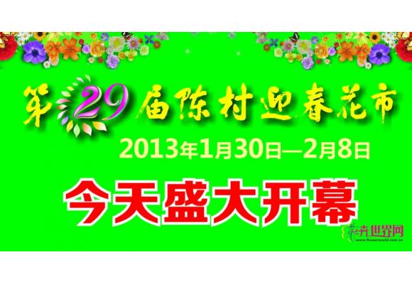 第29届陈村迎春花市1月30日开幕