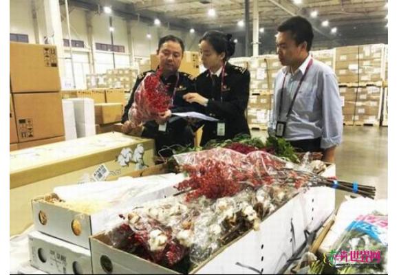 郑州海关首次监管荷兰鲜花入境