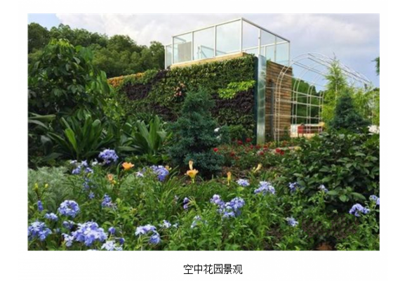 福建：西湖公园的“空中花园” 127种植物季节搭配