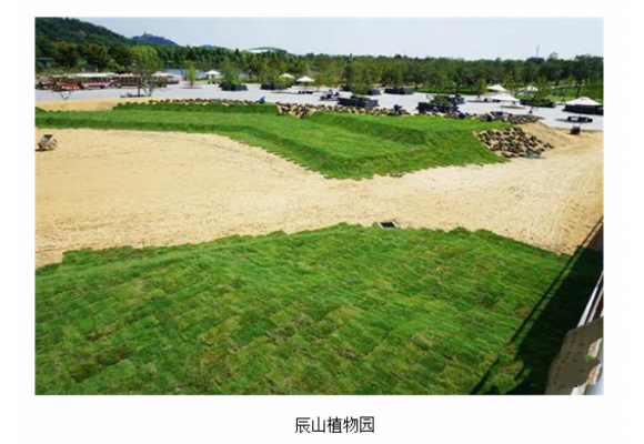 上海辰山植物园遇难题 花草植物莫名死亡