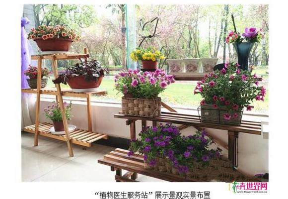 昆明首个“植物医生服务站”亮相西华公园