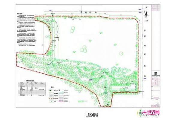 柳州市将建最大月季花坡景观