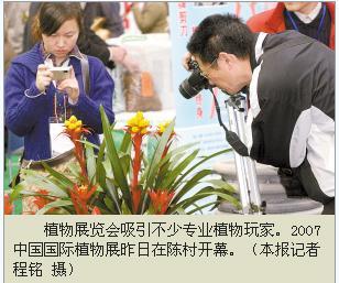 2007中国国际植物展昨在陈村开幕